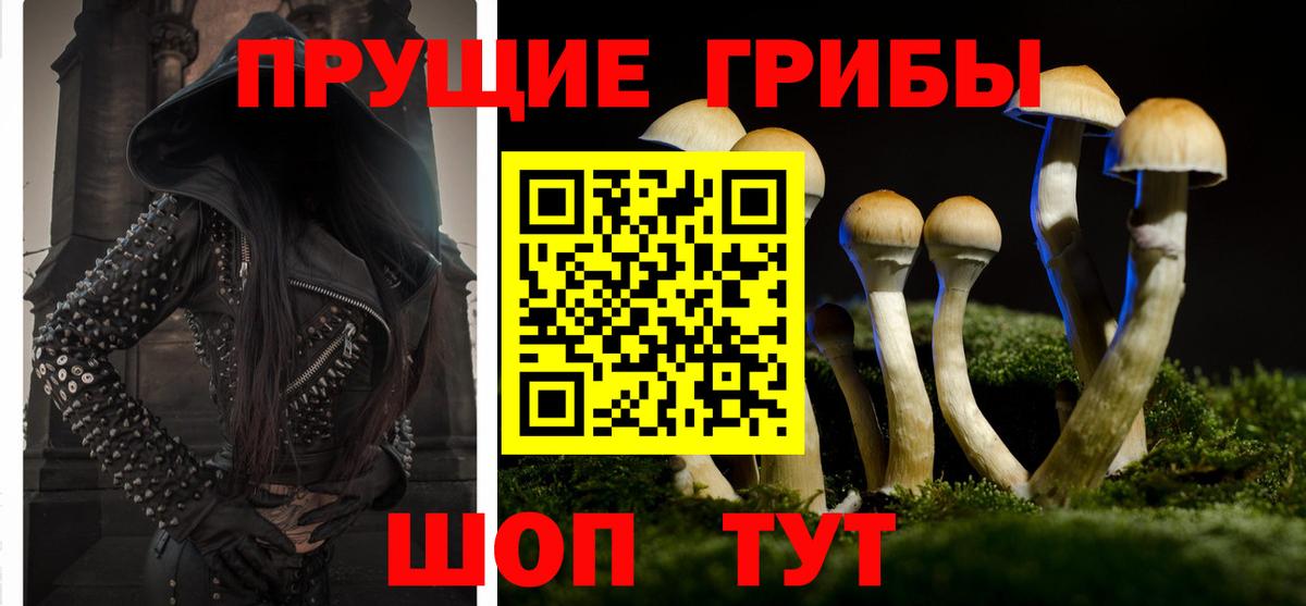Кострома  Галлюциногенные грибы Psilocybe  Псилоцибиновые грибы прущие грибы  Вход с VPN 